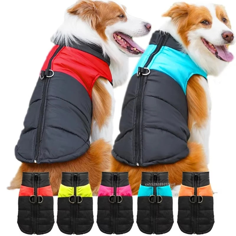 ArcticPaw™ Waterproof Dog Jacket – Warm, Windproof & Stylish