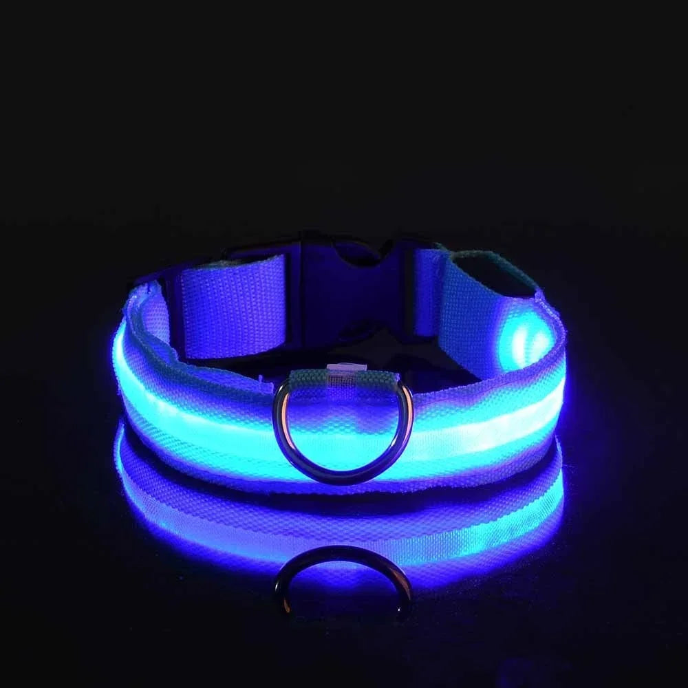 GlowBuddy™ Light-Up Dog Collar