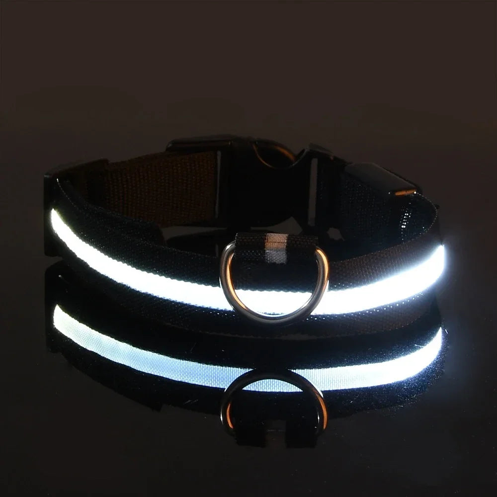 GlowBuddy™ Light-Up Dog Collar
