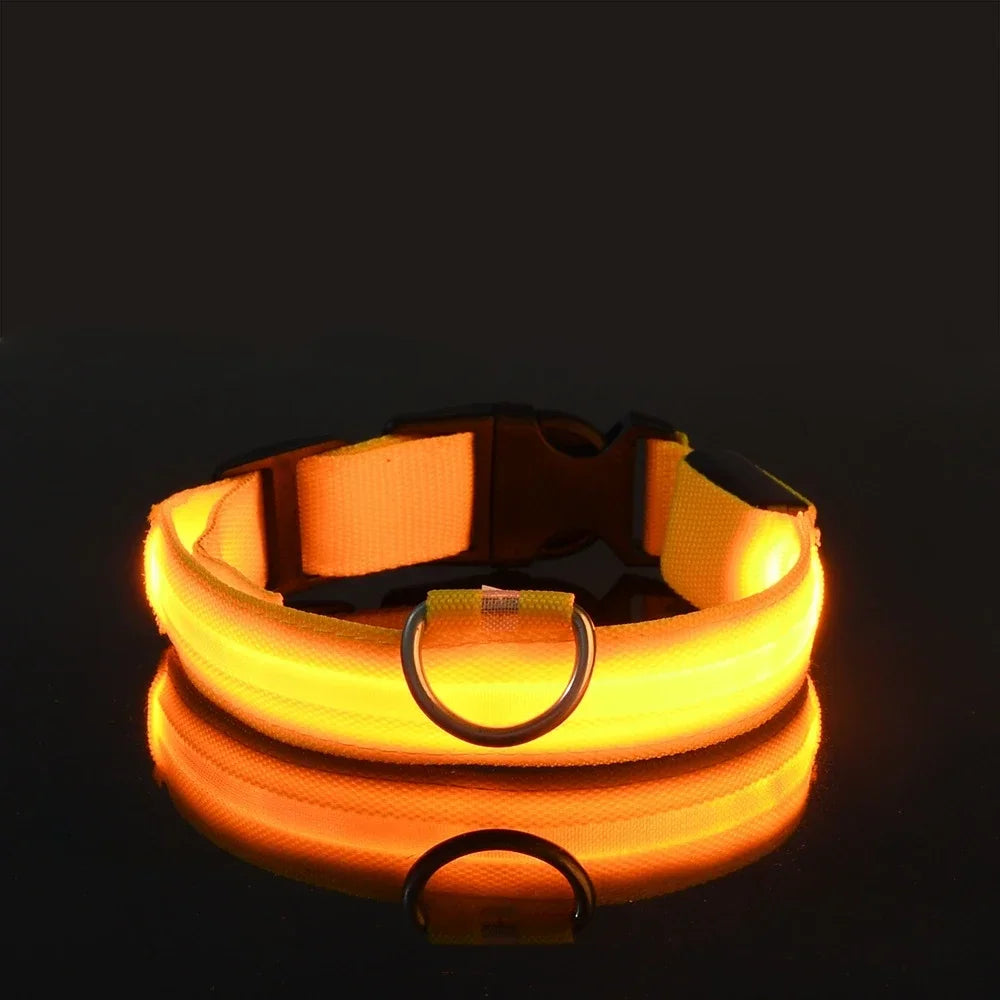 GlowBuddy™ Light-Up Dog Collar