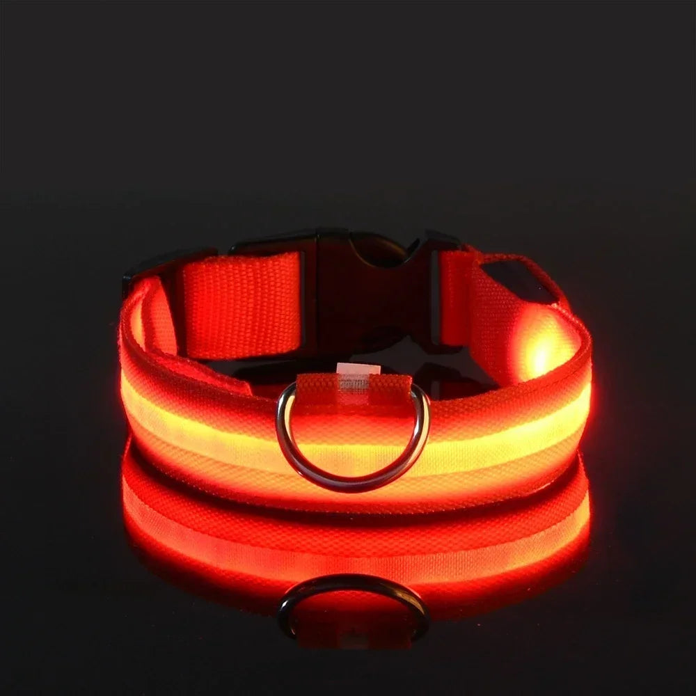 GlowBuddy™ Light-Up Dog Collar