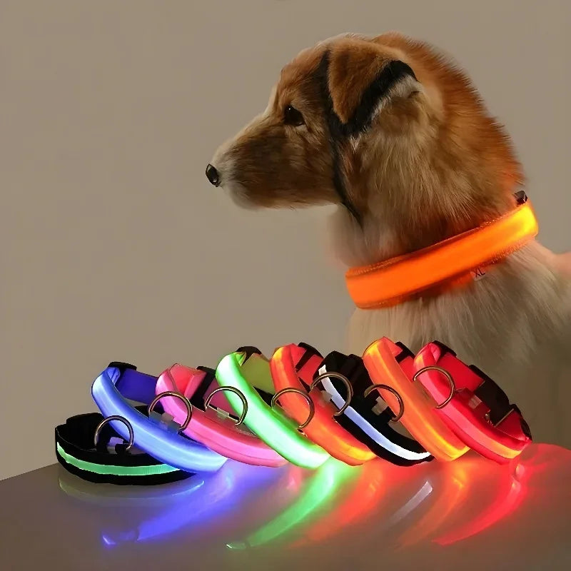 GlowBuddy™ Light-Up Dog Collar