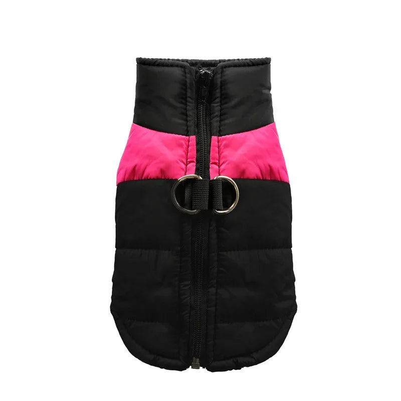 ArcticPaw™ Waterproof Dog Jacket – Warm, Windproof & Stylish