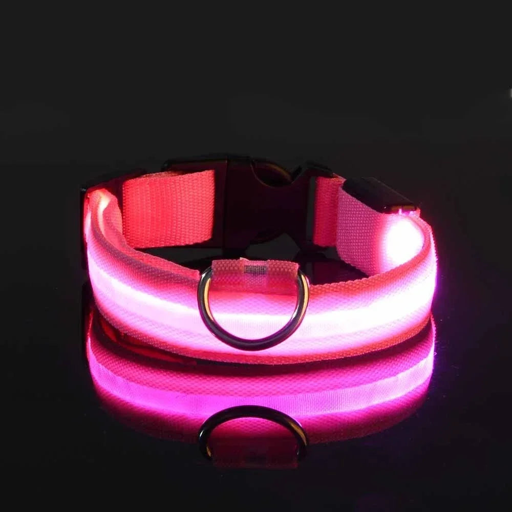 GlowBuddy™ Light-Up Dog Collar