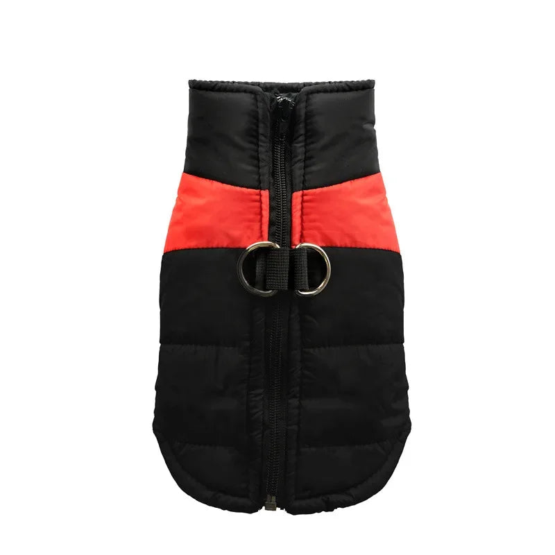 ArcticPaw™ Waterproof Dog Jacket – Warm, Windproof & Stylish