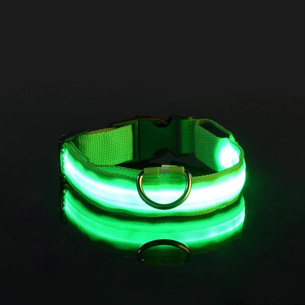 GlowBuddy™ Light-Up Dog Collar